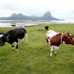 캠프장 Topcamp Havblikk - Helgeland