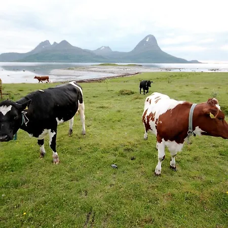 Kemp Topcamp Havblikk - Helgeland